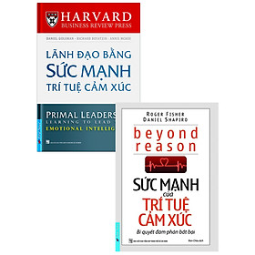 Combo Sức Mạnh Của Trí Tuệ Cảm Xúc + Lãnh Đạo Bằng Sức Mạnh Trí Tuệ Cảm Xúc (Bộ 2 Cuốn) _FN