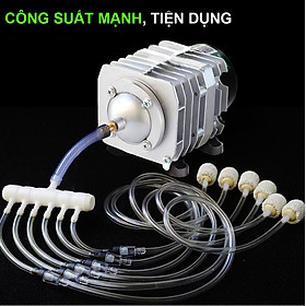 Máy Sục oxy bể cá, máy sủi oxy SOBO SB-1102 1 vòi và SB-1106 2 vòi chạy  siêu êm (chọn combo kèm phụ kiện dây+quả sủi)