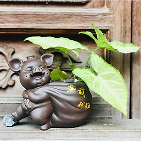 Mua Tượng phong thủy chú heo nâu trồng cây Quanh Năm Sung Túc