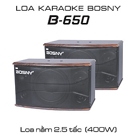 Loa Karaoke BOSNY B-650