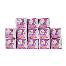 Bộ BVS hàng ngày COTTON BELLE FLORA