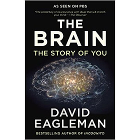 Nơi bán The Brain  The Story of You - Giá Từ -1đ