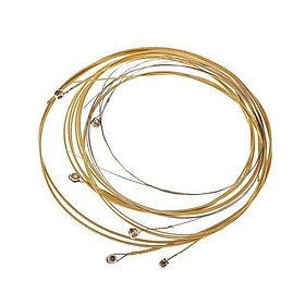 3X 6pcs Bronze Guitar Strings for Your 38 Inch-41 Inch Acoustic Guitars