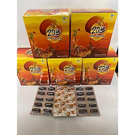 20B With Gingseng Hộp 100 viên nang