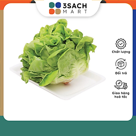Xà Lách Búp Mỡ Gói 300Gr