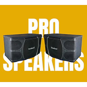 Mua Loa Karaoke gia đình Rinton RT-866 Bass 25 cm  3 đường tiếng(Hàng Chính Hãng)