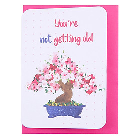 Thiệp Sinh Nhật Maisen You Are Not Old