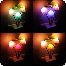 Mua đèn ngủ nấm