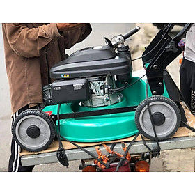 Mua MÁY LÀM VƯỜN DÙNG XĂNG 160CC 480MM DCA A03SSS48 - HÀNG CHÍNH HÃNG