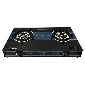 Mua Bếp gas đôi mặt kính kiềng gang Duxton DG-595 - Hàng chính hãng
