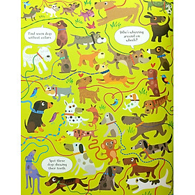 Usborne Look and Find Cats and Dogs