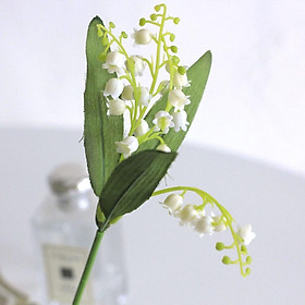 Bó 6 cành Hoa linh lan giả trang trí nhà siêu đẹp - hoa lụa , hoa giả , Han decor