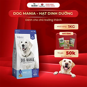 - Thức ăn hạt cho chó trưởng thành DOG MANIA ADULT
