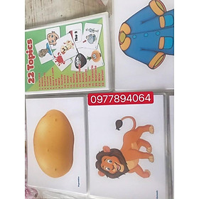 Flashcards 22 chủ đề ép plastics