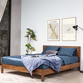 Giường ngủ gỗ CT17MH Juno Sofa màu vàng nâu