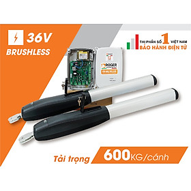 Mua Motor cổng tự động tay đòn Roger Italia Smarty 5