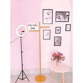 Mua kệ treo quần áo  cây treo quần áo mẫu livestream