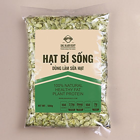 Hạt Bí Sống Dùng Làm Sữa DK Harvest nhập khẩu - Túi 500g, 1000g