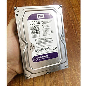 Mua Ổ cứng máy tính 500Gb Tím