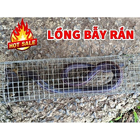 Mua LỒNG BẪY RẮN LỒNG BẮT RẮN SIZE 85CMX12CM