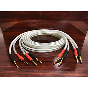 Mua DÂY LOA BỘ  ĐẦU CẮM BẮP CHUỐI RA BẮP CHUỐI