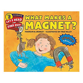 Lrafo L2: What Makes A Magnet?