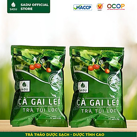 Cà gai leo sadu bảo vệ gan, tăng cường chức năng gan 250g