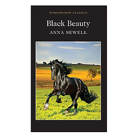 Ảnh bìa Black Beauty