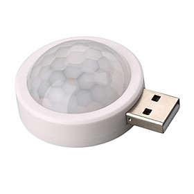 Human Body Induction Small Night Light White