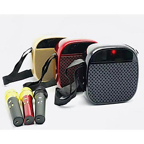 Mua Loa KARAOKE di động mini YS-A23 âm cực hay TẶNG KÈM 1 MICRO ( giao màu ngẫu nhiên )