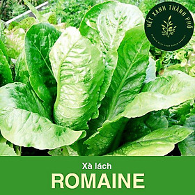 Mua Hạt giống Xà Lách Romaine 2gr