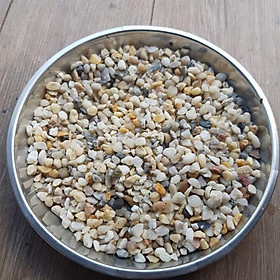 Mua 10kg sỏi lọc nước trang trí hồ cá