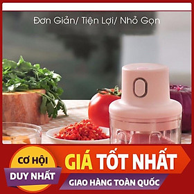 Mua Máy Xay Mini Cầm Tay Đa Năng_ Dung Tích 250ml Sạc Pin Cao Cấp Xay Tỏi Ớt  Hành  Rau Củ Quả Tiện Dụng