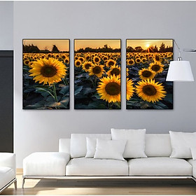 Mua Tranh Hoa Hướng Dương - Khung sexy  tràn viền - 50x75cm