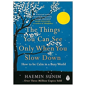 Sách The Things You Can See Only When You Slow Down: How To Be Calm In A Busy World