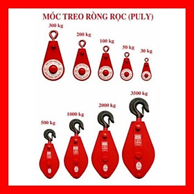 Mua Ròng Rọc Treo Cáp 30kg - 50kg - 100kg - 200kg