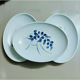 Mua Đĩa nhựa bầu dục kích thước 25cm x 19cm dày đẹp hàng đẹp