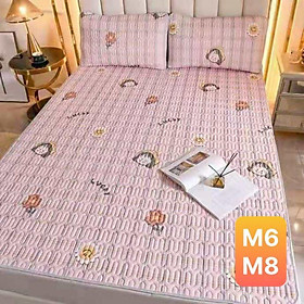 Mua Chiếu điều hòa cao su non 2d mềm mát  đủ kích thước