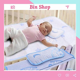 Mua Chiếu Điều Hòa Bin Shop Chiếu Lụa Tặng Kèm Gối Thảo Dược Cao Cấp