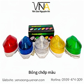 Mua BÓNG CHỚP MÀU - CHỚP CÚ NHÀ YẾN