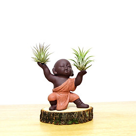 Tượng phật chú tiểu kung fu gốm tử sa MD 36