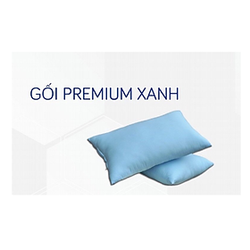 GIÁ SỈRUỘT GỐI GÒN CHO NGƯỜI LỚN ĐỦ SIZE, GỐI PREMIUM CAO CẤP, GỐI HƠI ÉP CHÂN KHÔNG CÓ KHÓA KÉO