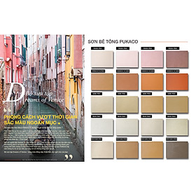 Mua BST Sơn Bê Tông PUKACO - DREAMS OF VENICE