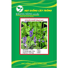 Mua Hạt giống cây đuôi chuột (cây mạch lạc) KNS371 - Gói 100 hạt