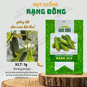 Mua Hạt giống Dưa Chuột Gai Mini Rado 213 (1g~60 hạt) chùm siêu trái  chịu nhiệt tốt  trồng quanh năm - Hạt giống Rạng Đông
