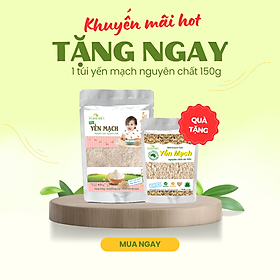 Túi 400G(Tặng Kèm 1 Túi Yến Mạch 150G)