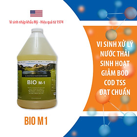 Bio M1 vi sinh xử lý nước thải sinh hoạt và nhà hàng khách sạn