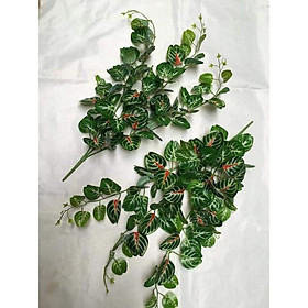Mua Bụi rủ lá leo 3 nhánh - cây cỏ giả