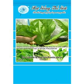 10g Hạt Giống Cải Bẹ Dưa Muối (Brassica juncea)
