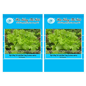 Bộ 2 Gói Hạt Giống Xà Lách Dún Vàng (Lactuca sativa) 10g